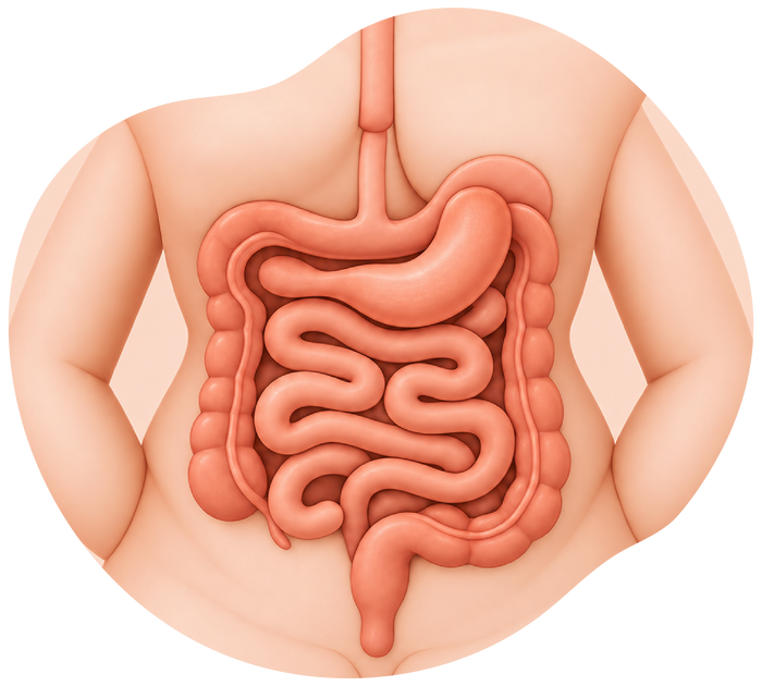 Understanding your bloating