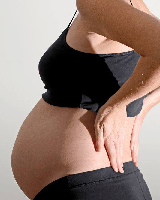 Pregnancy Belly: The Guide to Keeping Your Microbiome Healthy While Growing a New Human